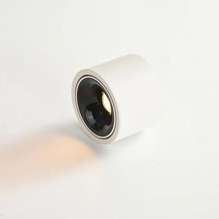 Halden Surface Mount Spot Light