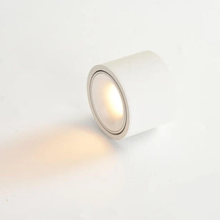 Halden Surface Mount Spot Light