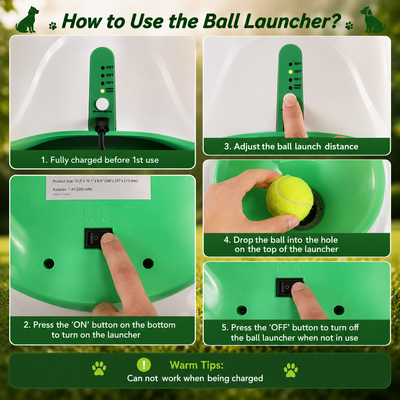 Automatic Dog Ball Thrower