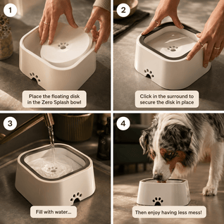 Zero Splash Dog Water Bowl