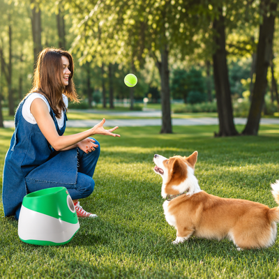 Automatic Dog Ball Thrower