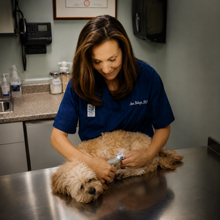Dog Nail Clippers with Quick Sensor
