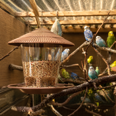 Hanging Bird Feeder