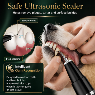 Pet Tartar Remover