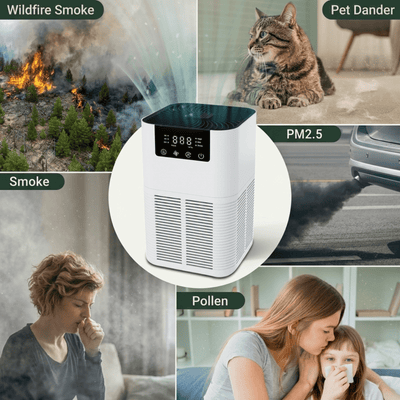 Tenax Air Purifier Pro