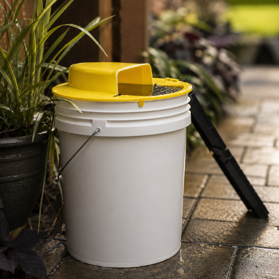 Humane Flip-and-Slide Bucket Mouse Trap