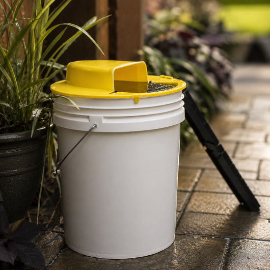 Humane Flip-and-Slide Bucket Mouse Trap