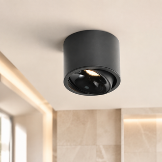 Halden Surface Mount Spot Light
