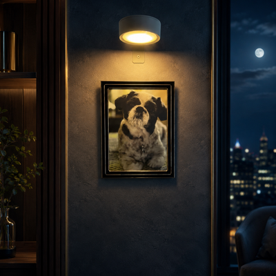 Magnetic Picture Light with Remote