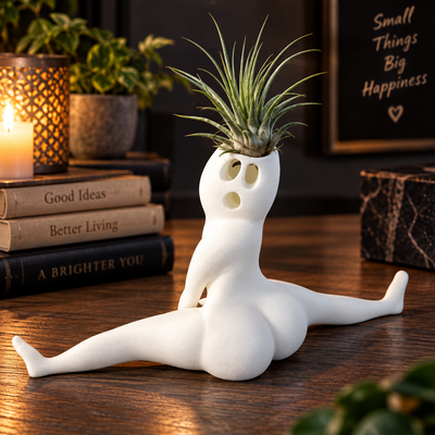 Ghost Air Plant Holder