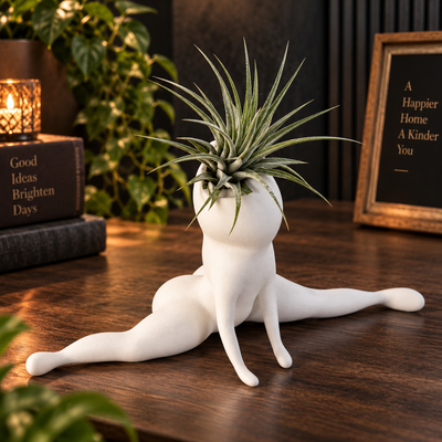 Ghost Air Plant Holder