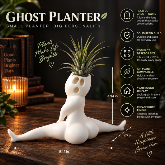 Ghost Air Plant Holder
