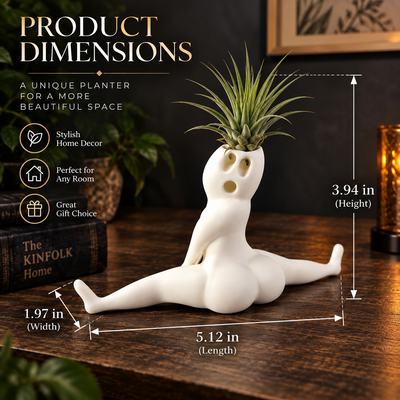 Ghost Air Plant Holder