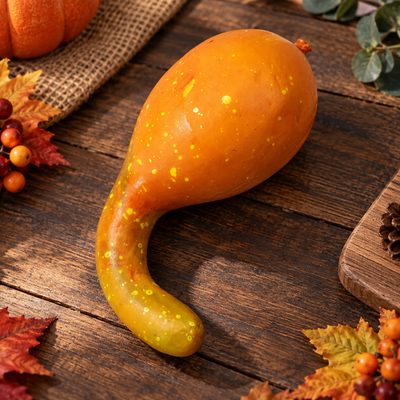 50 Piece Fall Harvest Decor Kit