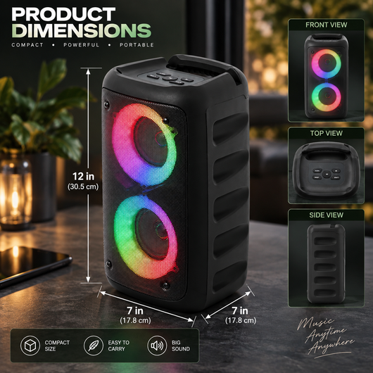 Portable Karaoke Machine