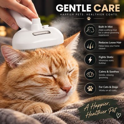 Pet Steam Grooming Brush