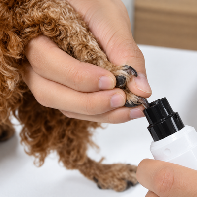 Rechargeable Pet Nail Grinder