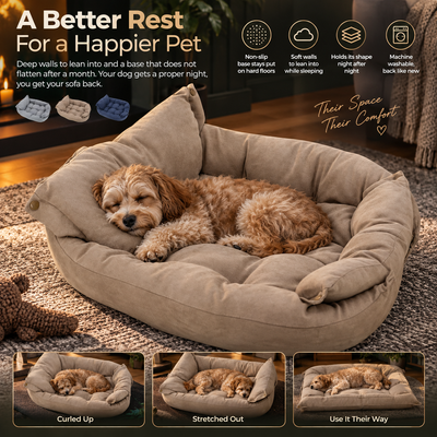 3-in-1 Convertible Dog Bed