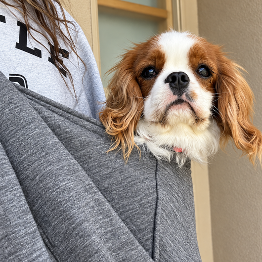 Padded Dog Sling Carrier