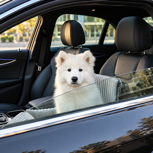 Dog Car Booster Seat