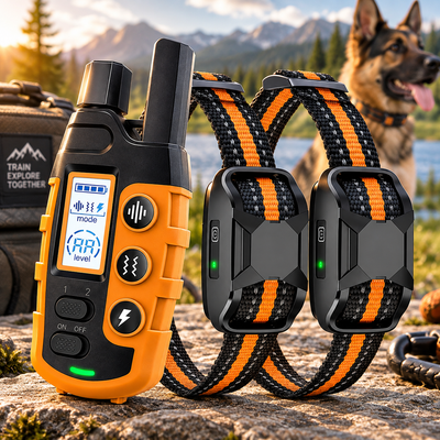 Remote Dog Training Collar