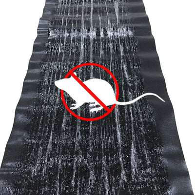 Extra large glue trap board for mice and insects