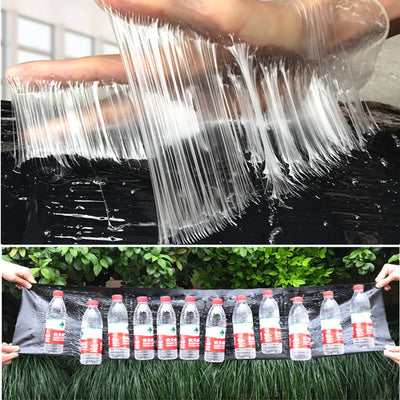 Glue trap shown from another angle