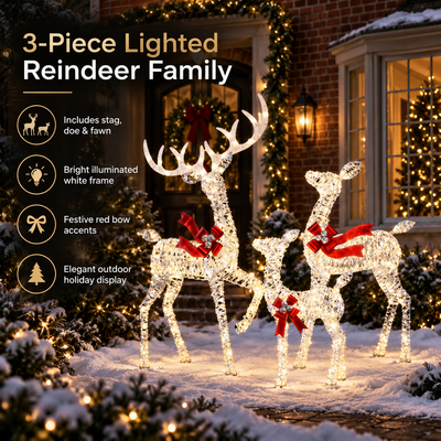 LED Reindeer Outdoor Christmas Set