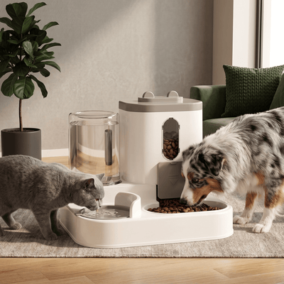 2-in-1 Pet Feeder and Water Dispenser