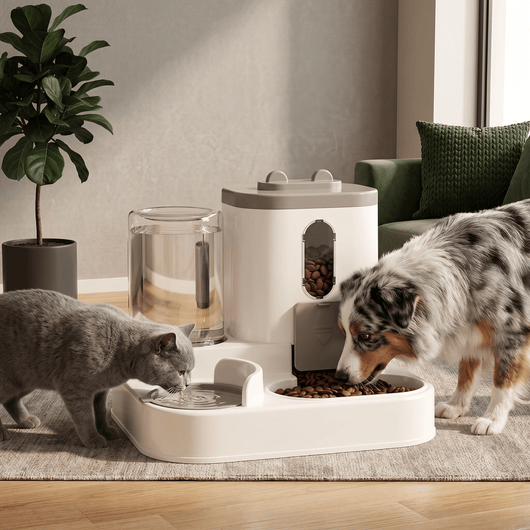 2-in-1 Pet Feeder and Water Dispenser