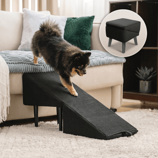2-in-1 Pet Ramp and Step Stool