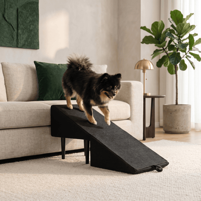 2-in-1 Pet Ramp and Step Stool