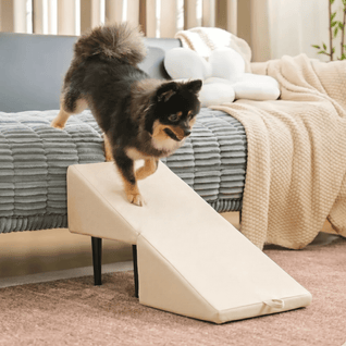 2-in-1 Pet Ramp and Step Stool