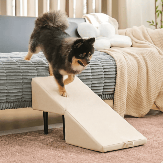 2-in-1 Pet Ramp and Step Stool