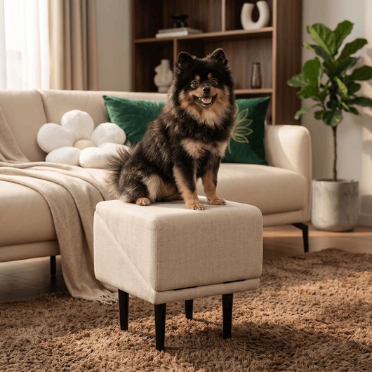 2-in-1 Pet Ramp and Step Stool