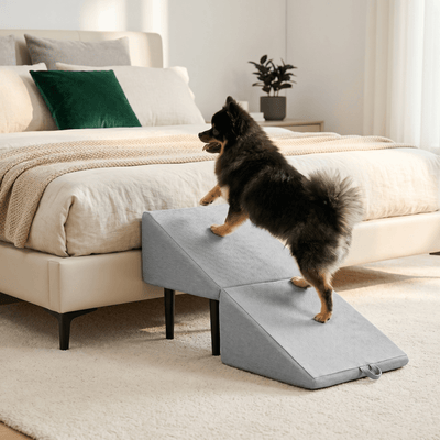 2-in-1 Pet Ramp and Step Stool