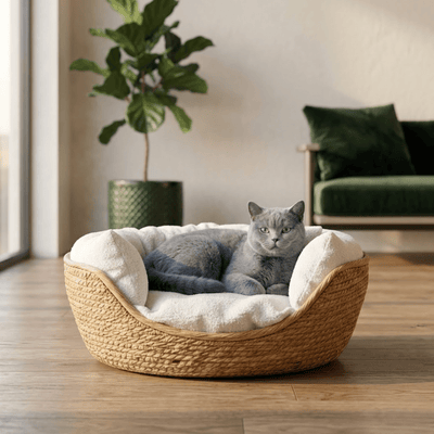 Woven Bamboo Cat Bed