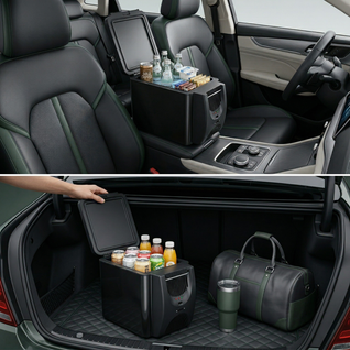 Electric Car Fridge