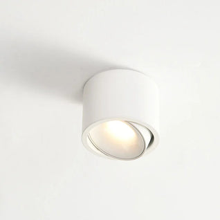 Halden Surface Mount Spot Light