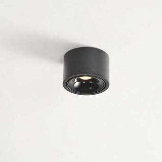 Halden Surface Mount Spot Light