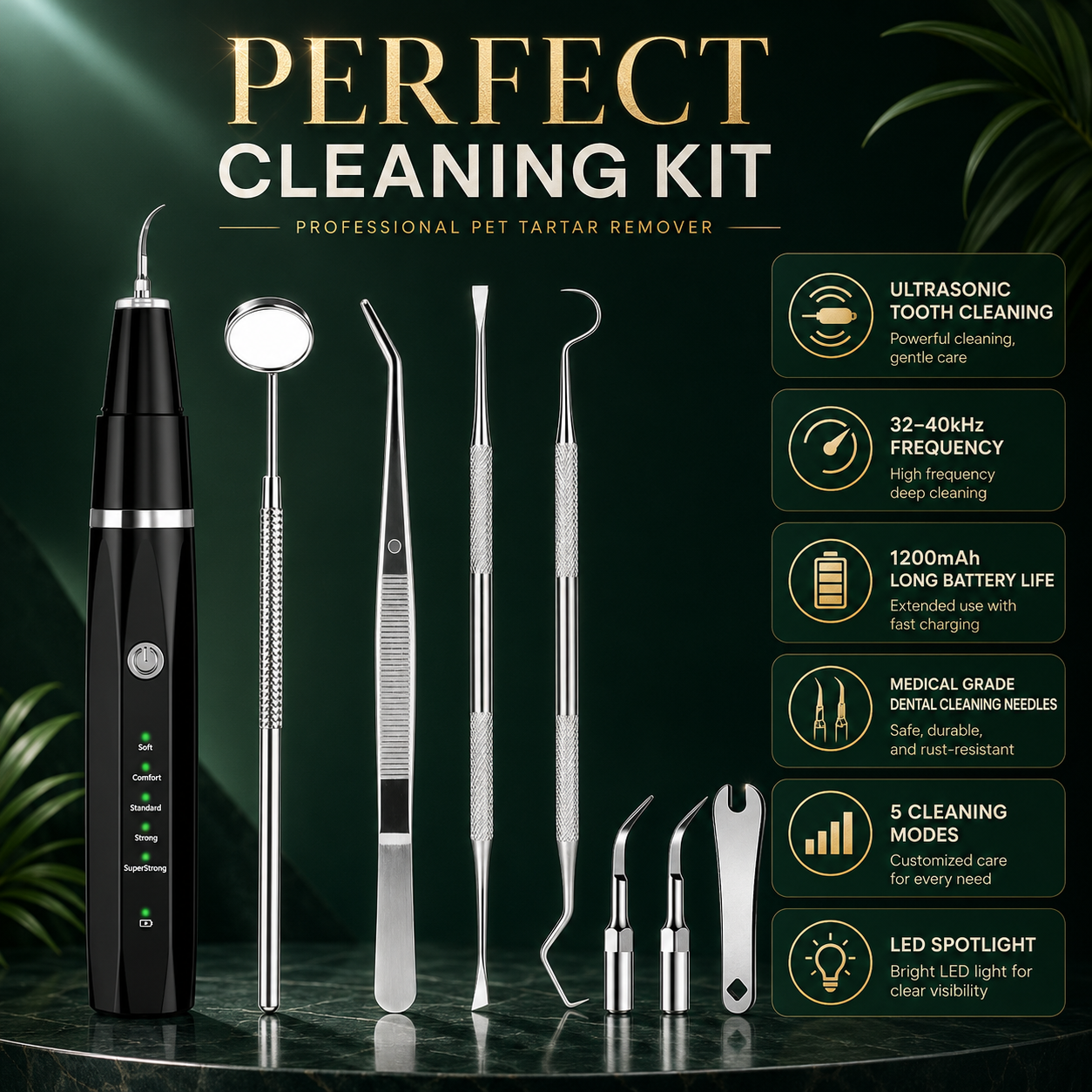 Everything You Need