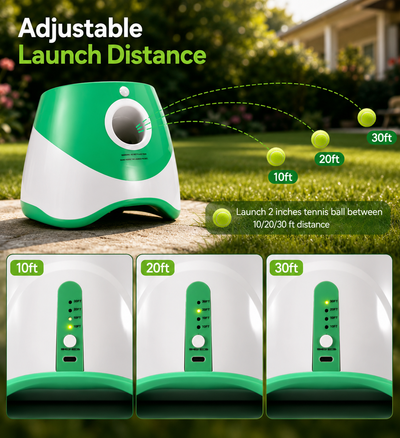 Automatic Dog Ball Thrower