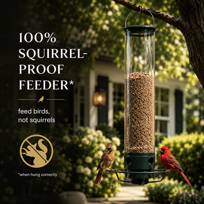 Squirrel Proof Bird Feeder with Spinning Perch