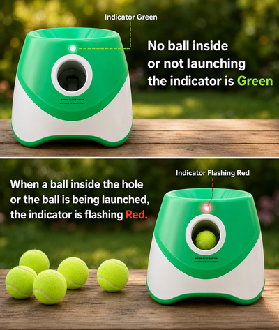 Automatic Dog Ball Thrower