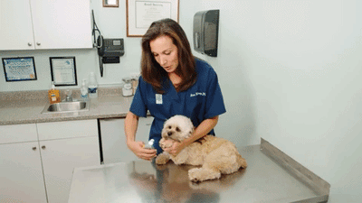 Dog Nail Clippers with Quick Sensor