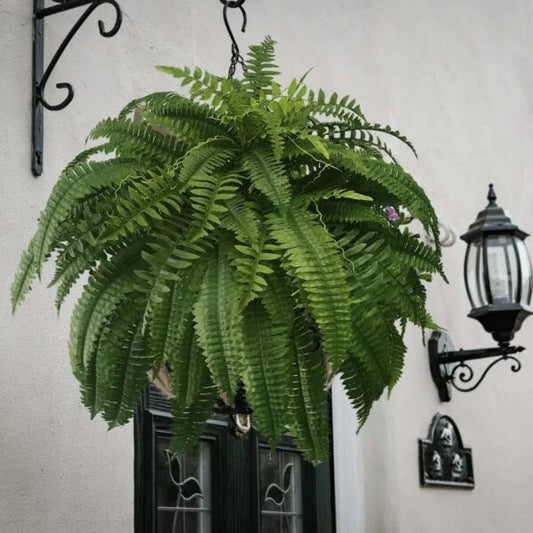 Lifelike faux Boston fern styled in planter indoor setting