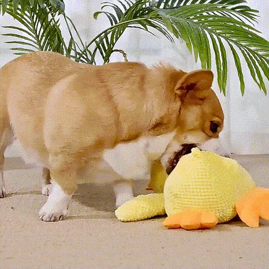 Calming Durable Duck Dog Toy