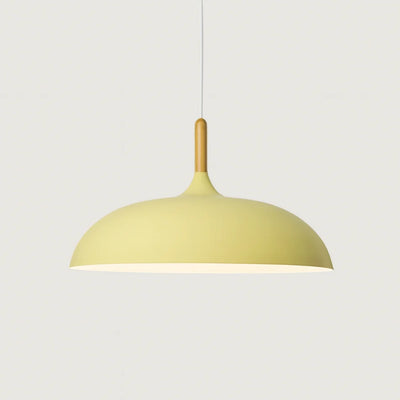 Soft Pastel Pendant Light