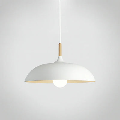 Soft Pastel Pendant Light